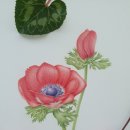 보태니컬 아트 이미지