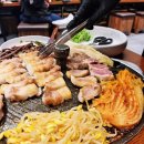 사파동260 | 창원 사파동 맛집 김치옥 최상급 한돈 삼겹살 고기집