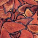 인수한의원 이미지