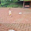 입곡군립공원(주차장옆) 이미지