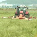 건초사료 이미지