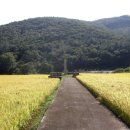 고흥공용버스터미널 이미지