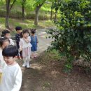 무양공원 놀이터(무양) 이미지