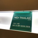 [탈라][탈라공구]최저가+사은품혜택/11.22(목)~24(토) 탈라공구 open‼️