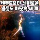 형형색색의바위들 | 울릉도 스노쿨링 스팟 프리다이빙 여행 선창선착장 코끼리바위 거북바위