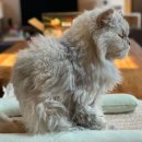 순이민박 이미지