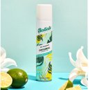 바디스트 이미지