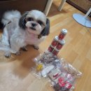 봉봉키친 더 펫 이미지