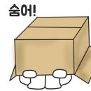 더핏짜김천혁신점 이미지