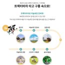 카페마차 | 대관령 하늘목장ㅣ동심으로 돌아가는 트랙터 마차 &amp; 기념품 &amp; 카페 이용 후기