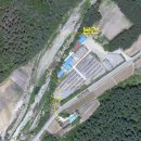 차선식품 이미지