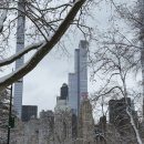 자유의 여신 | 센트럴파크 뷰 좋은 산책 코스 추천, 자유의여신 선셋 크루즈 가격 후기, 버드랜드 재즈바 가격 예약...