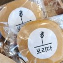 제주본토박이 이미지