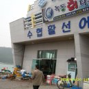 고흥봉황정 이미지