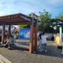 리틀포레스트 | 경주 황리단길 카페 무더운 날씨 속 리틀포레스트 방문 후기