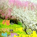 청명 이미지