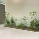 치과다운 치과교정과 치과의원 이미지