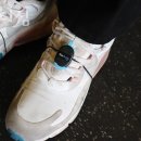 올바디짐 이미지