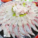 미도파횟집 | 속초 중앙시장 미도파 횟집 가성비 좋고 신선도 확실한 감성돔 회 맛집