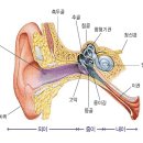 이소메디칼 이미지