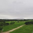 골프니스 이미지