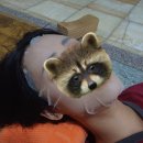 광적사우나 이미지