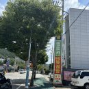 (주)세진렌트카 | 로또명당 유명하고 핫한곳에서 꼭 사세요 첫 로또 복권당첨 후기