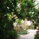 카페힐(CAFE HEAL) 이미지