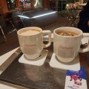 도화동물병원 이미지