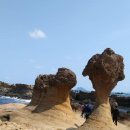 영산성지 주차장 화장실 이미지