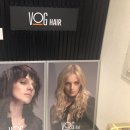 보그 메디 이미지