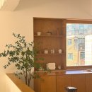 논현로27길 47 | 도심 속 유럽 감성 그대로! 양재렌탈스튜디오, 자연광에 물든 '포레스트리트릿' 후기