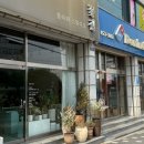 [울산 꽃집]울산중구 약사동 꽃집 꽃길에서 봄맞이 화병꽂이, 미니꽃다발 내돈내산 후기