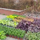 코너스톤 이미지