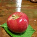 하늘바람꽃농원 이미지