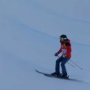 시선끌다 이미지