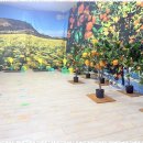 우리 가족 놀이 체육 | 천안체육대회체험프로그램 써니이벤트와 함께한 특별한 가족 행사 후기