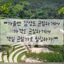 라포레캠핑장 이미지