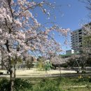 군도8호선 | きみのせいではっぴーです！