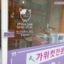 온리 펫살롱 이미지