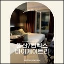 세븐일레븐 일산대화점 | 킨텍스 전시회 출장 비지니스 숙소 찾는다면｜일산 킨텍스바이케이트리 호텔 숙박 후기