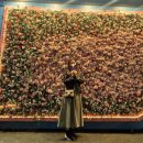 연극그놈은예뻤다 | 홍대연극 : 그놈은예뻤다 연극후기 90분내내 웃고싶은분들 강추