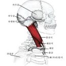 바른척추운동처방센터