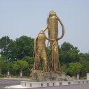 금산다락원광장 이미지