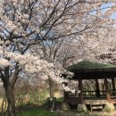 소룡동 동아아파트 앞 공원 이미지