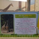 2월 25일 (일) 헬로우 2018 삼정더파크 동물원 이미지