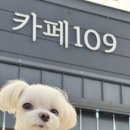 백구초등학교 이미지