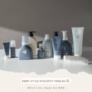 몽쉘몽쉘 | 몽쉘베프 16기 모집 시작! 몽쉘베프 15기 활동 후기까지