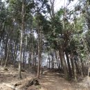 옥종주유소 이미지