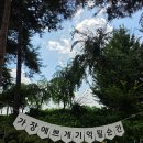 마곡사경내 | [공주 여행] 8월 유구색동수국정원 방문 솔직 후기 (수국 엔딩🥲) &amp; 힐링 가득한 마곡사